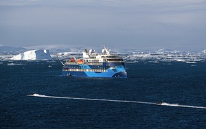 Heart of the Arctic